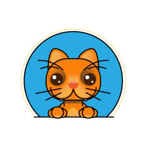 Accesorios Gatos