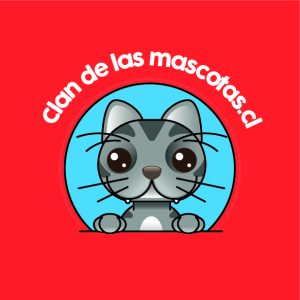 Shampoo y Acondicionador