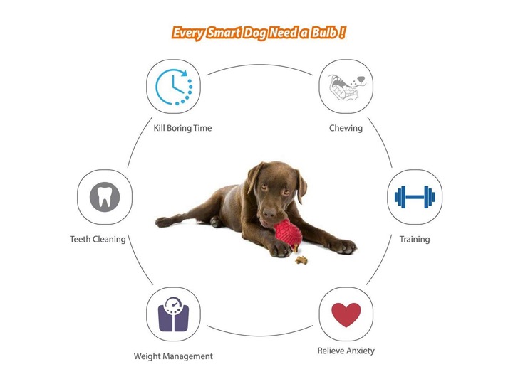 Diapositiva4