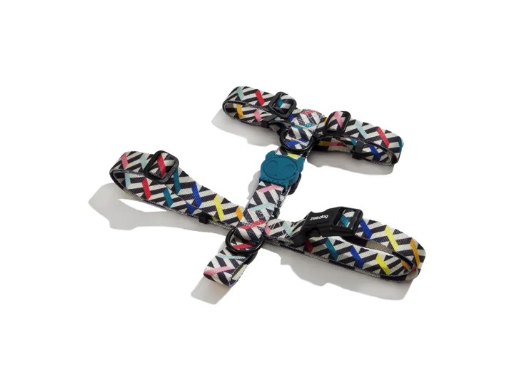 Diapositiva11