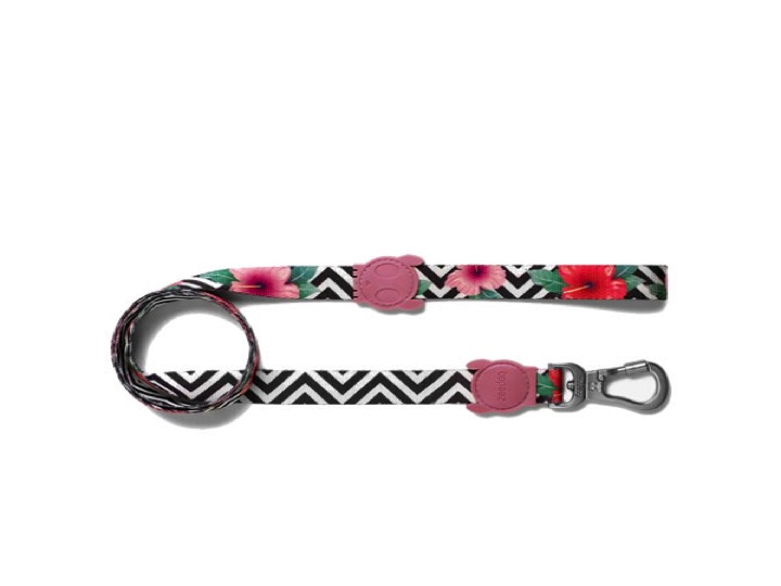 Diapositiva26