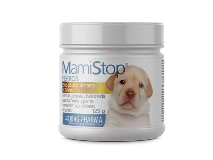 Diapositiva15