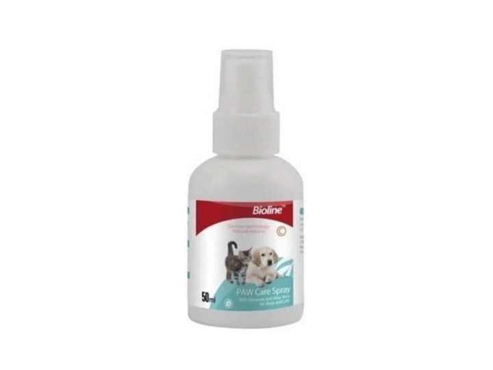 Diapositiva6