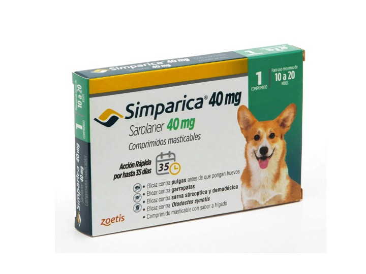 Diapositiva6