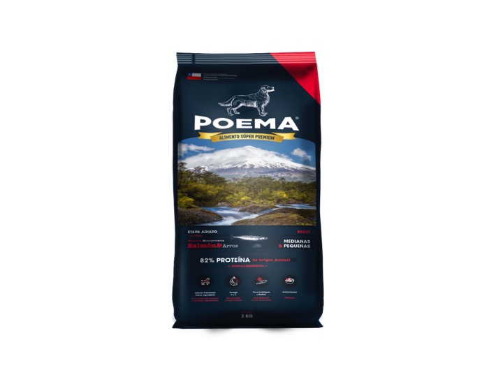 Diapositiva04