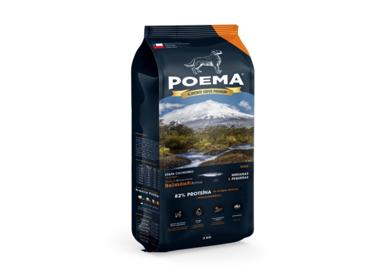 Diapositiva11