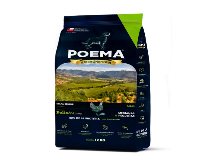 Diapositiva13