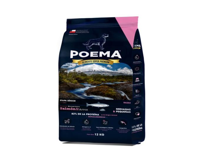 Diapositiva14