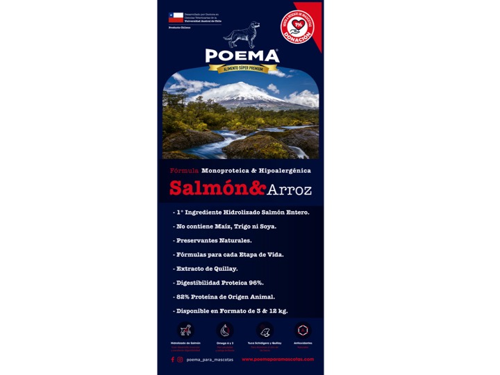 Diapositiva22