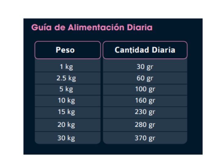 Diapositiva29