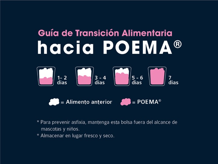Diapositiva31