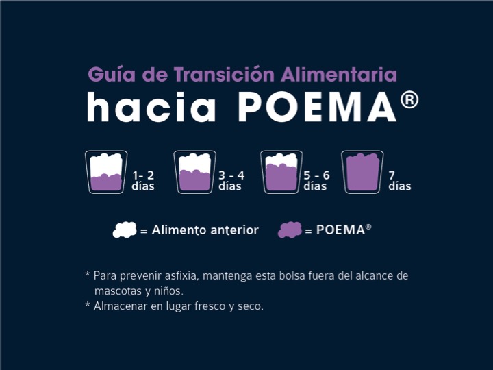 Diapositiva32