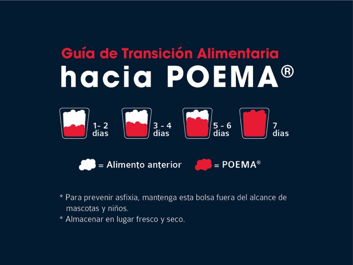 Diapositiva33