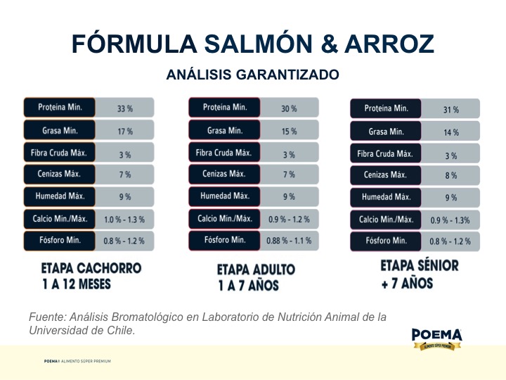 Diapositiva37