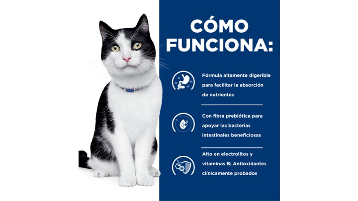 Diapositiva4