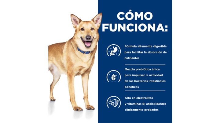 Diapositiva42
