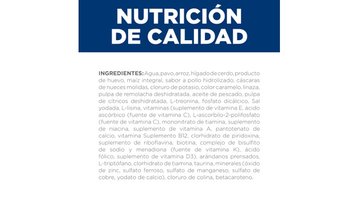 Diapositiva43