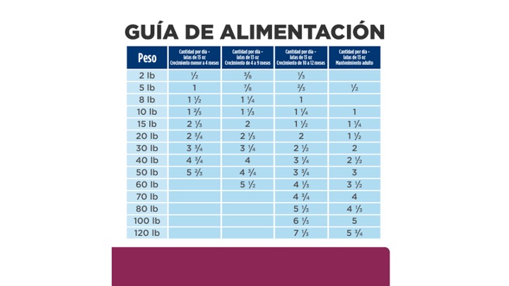 Diapositiva45