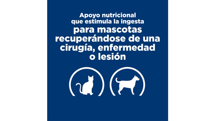 Diapositiva47