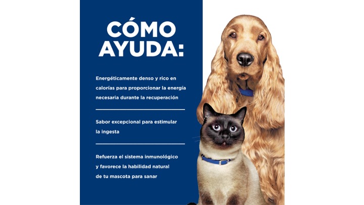 Diapositiva48