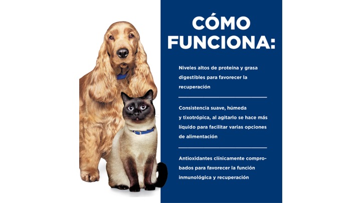 Diapositiva49