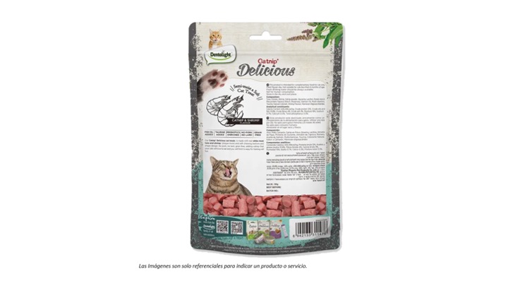 Diapositiva8
