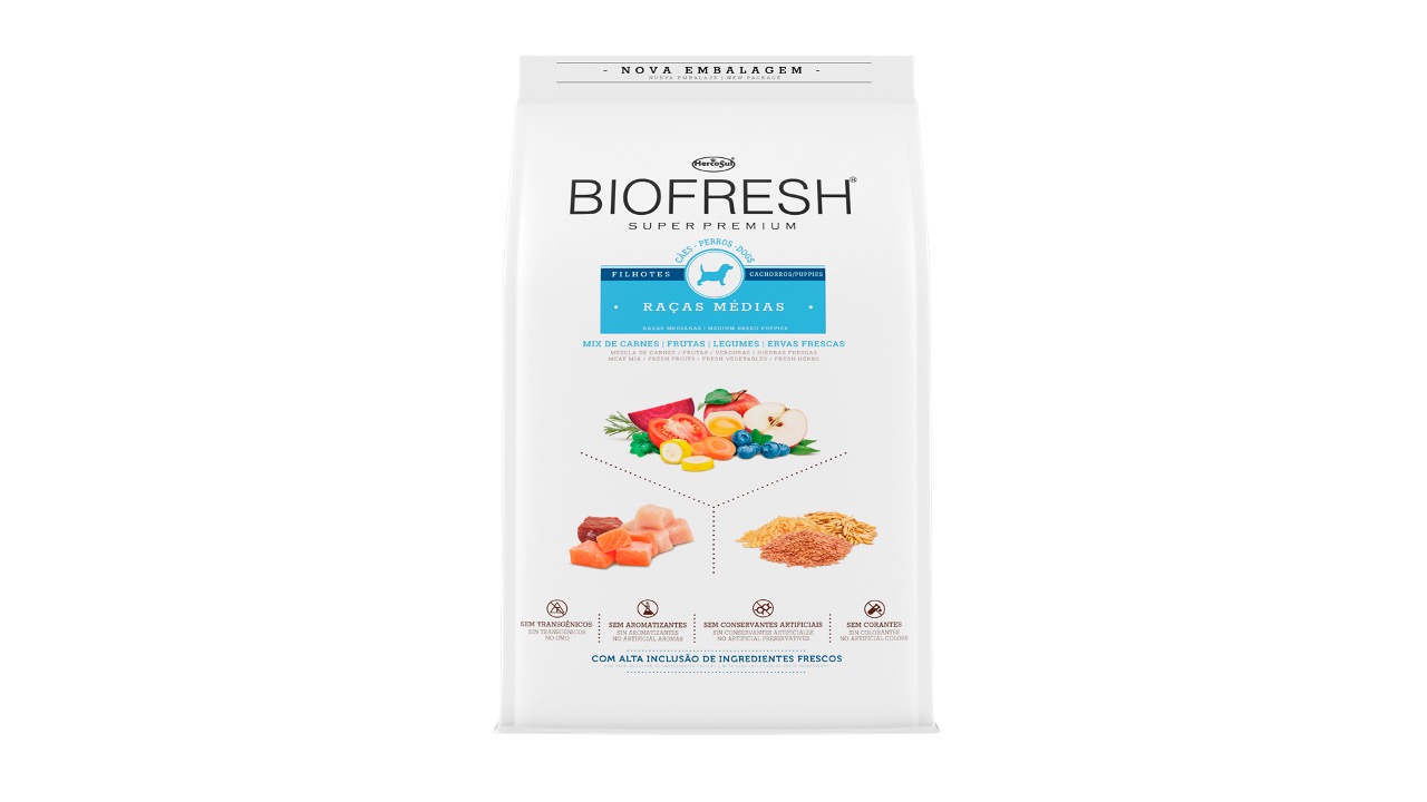 Diapositiva10
