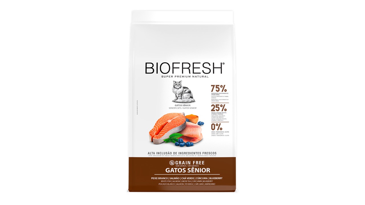 Diapositiva10