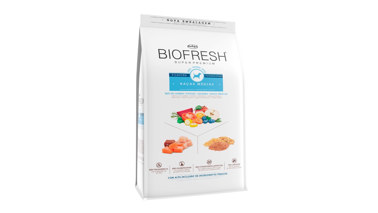 Diapositiva11