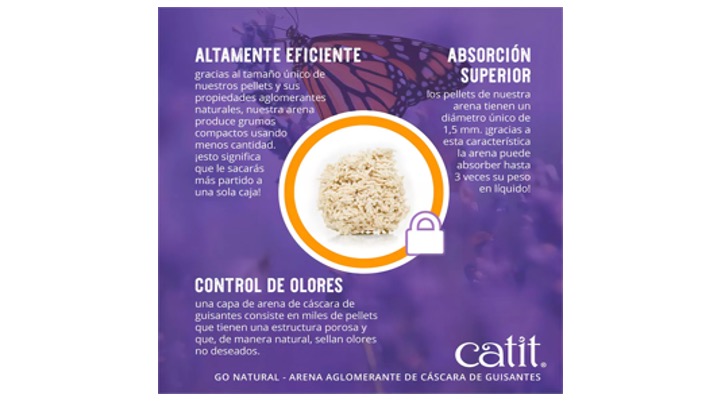 Diapositiva3
