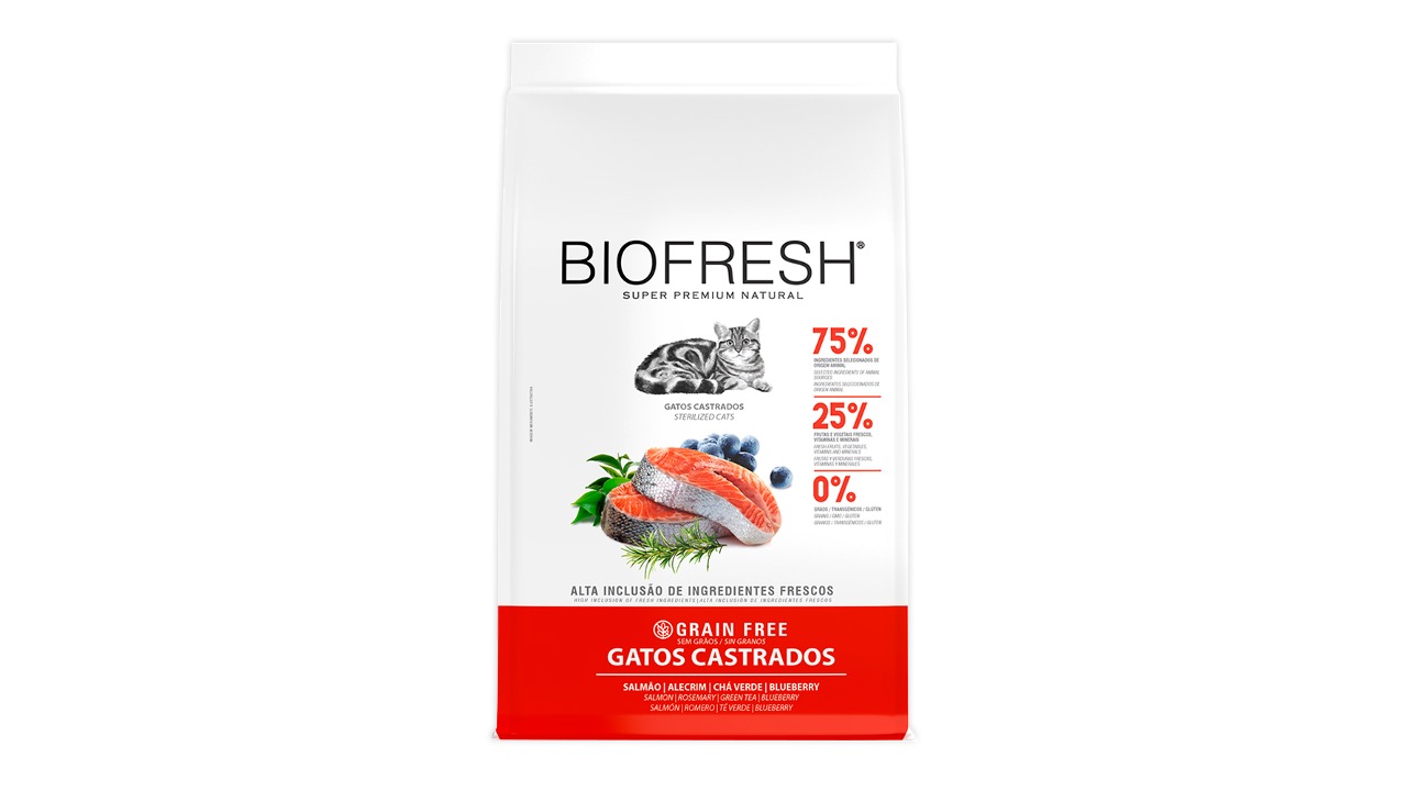 Diapositiva7