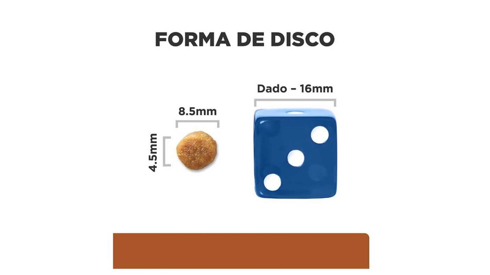 Diapositiva12
