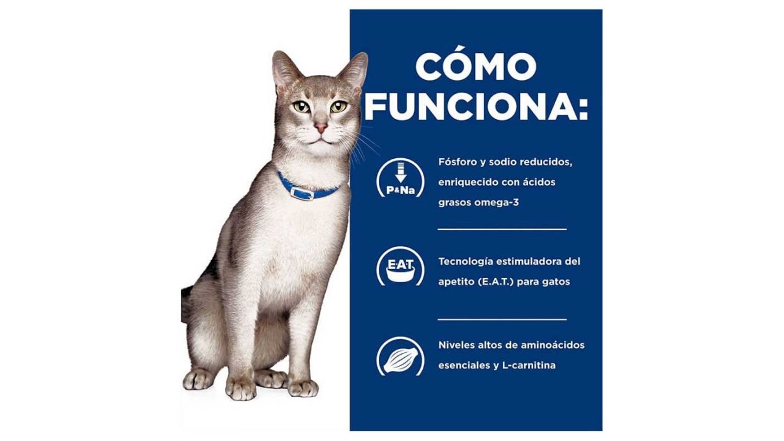 Diapositiva14
