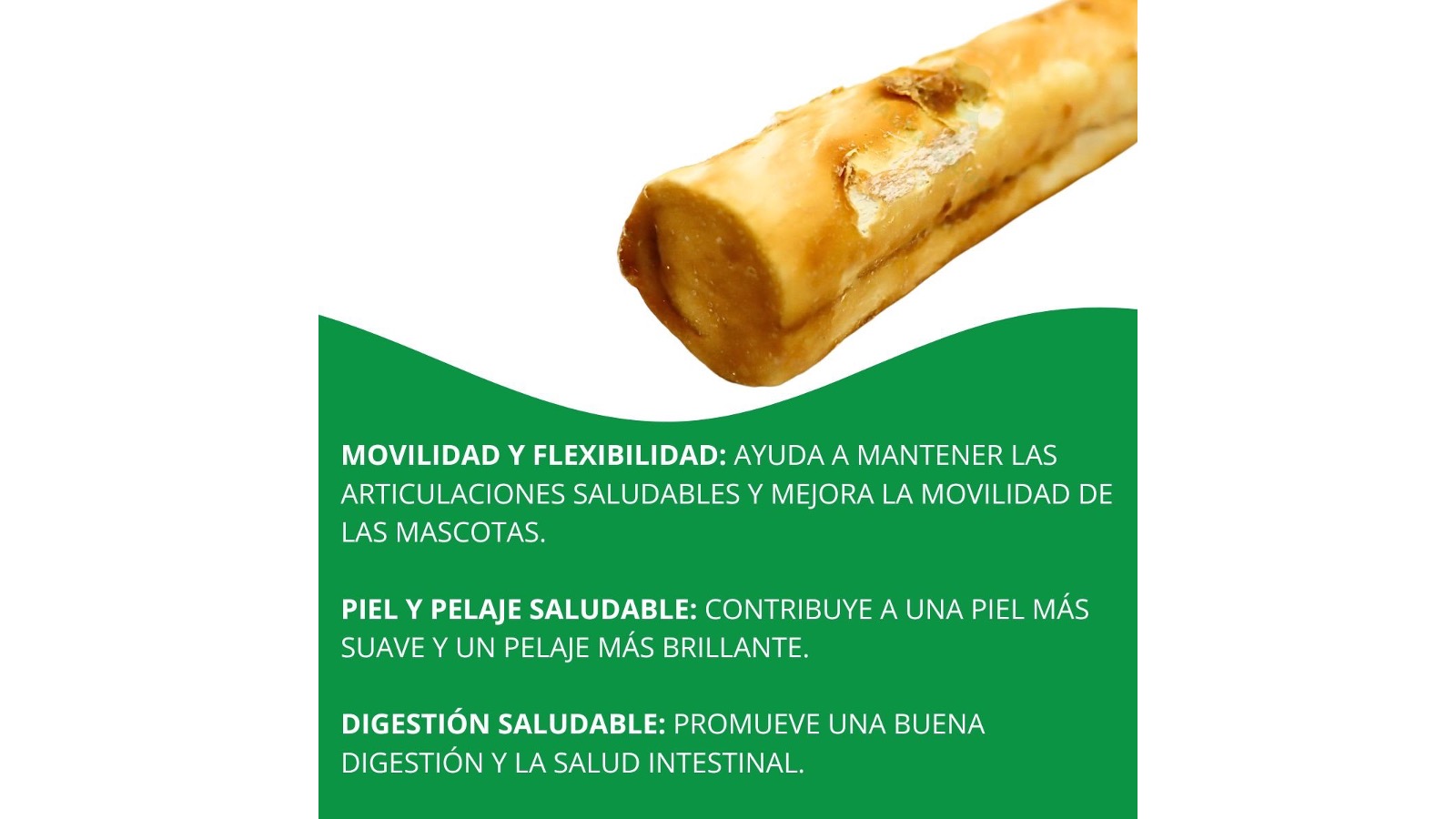 Diapositiva2