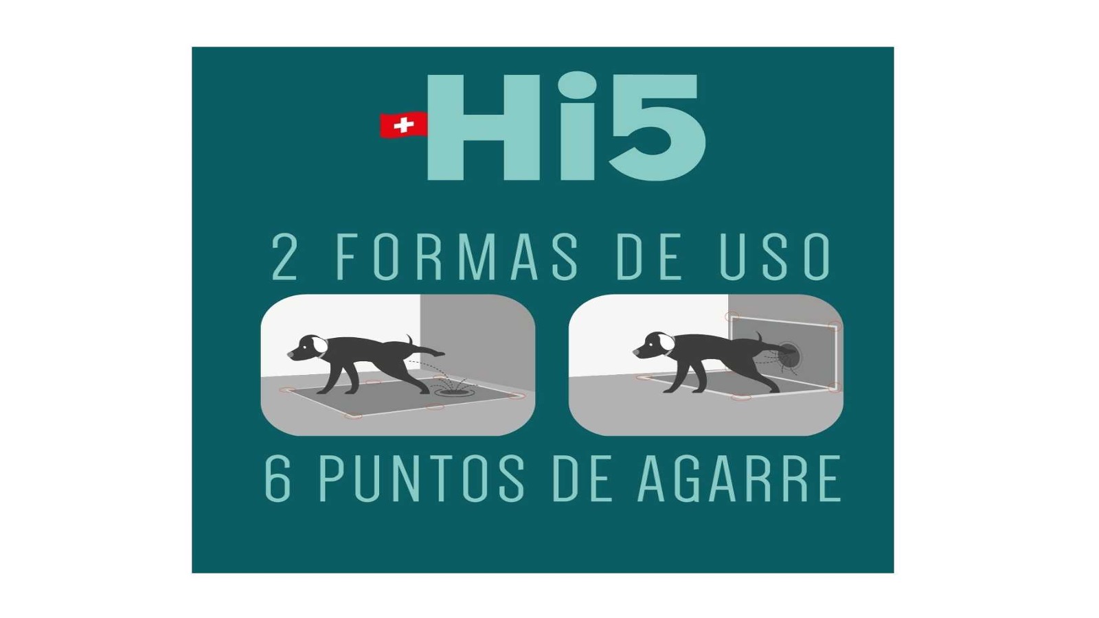 Diapositiva3