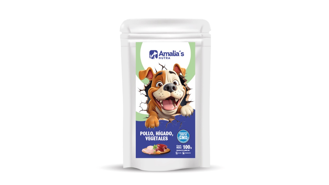 Diapositiva4
