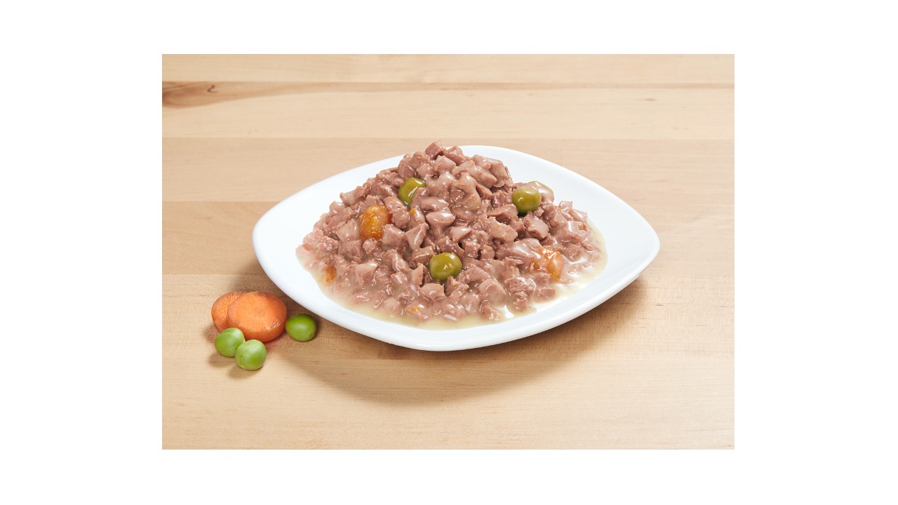 Diapositiva51