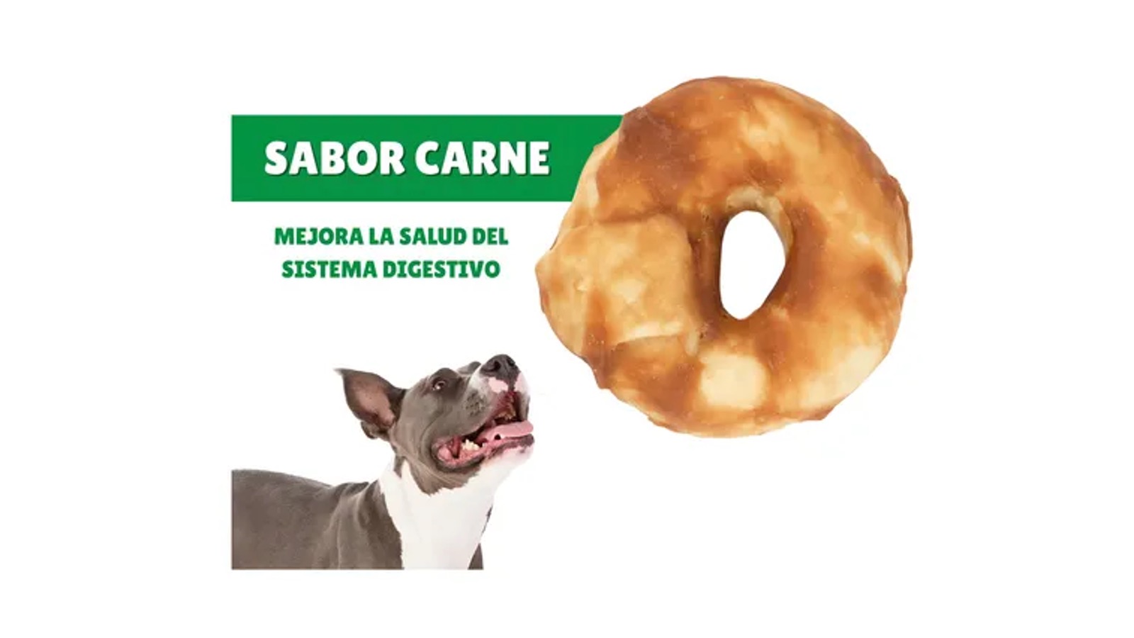 Diapositiva6