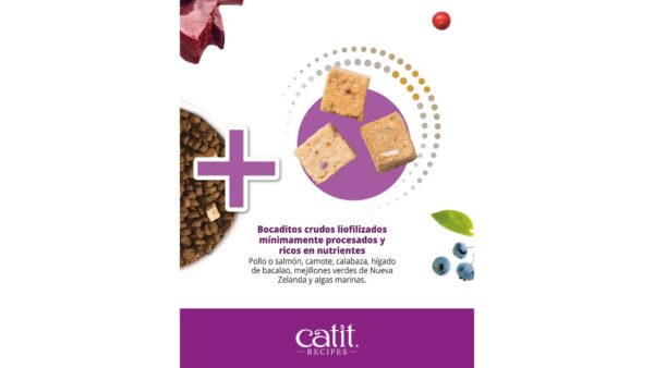 CATIT RECIPES DOUBLE FUSION INDOOR. 4,5 KILOS. - Imagen 4