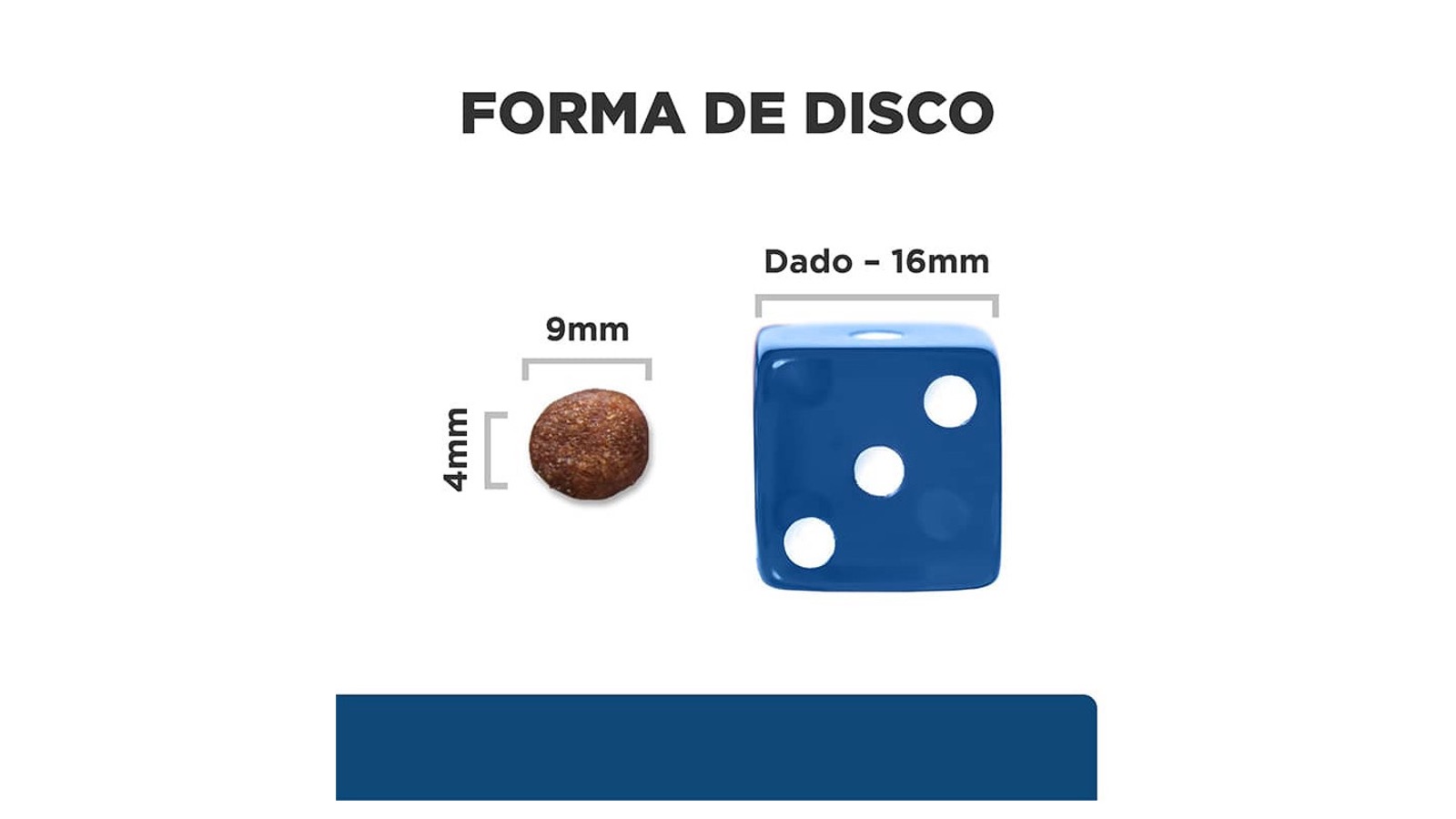Diapositiva7