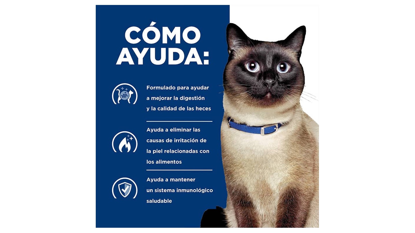 Diapositiva8