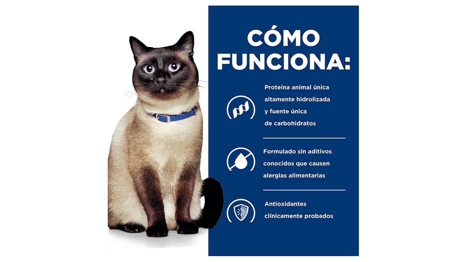 Diapositiva9
