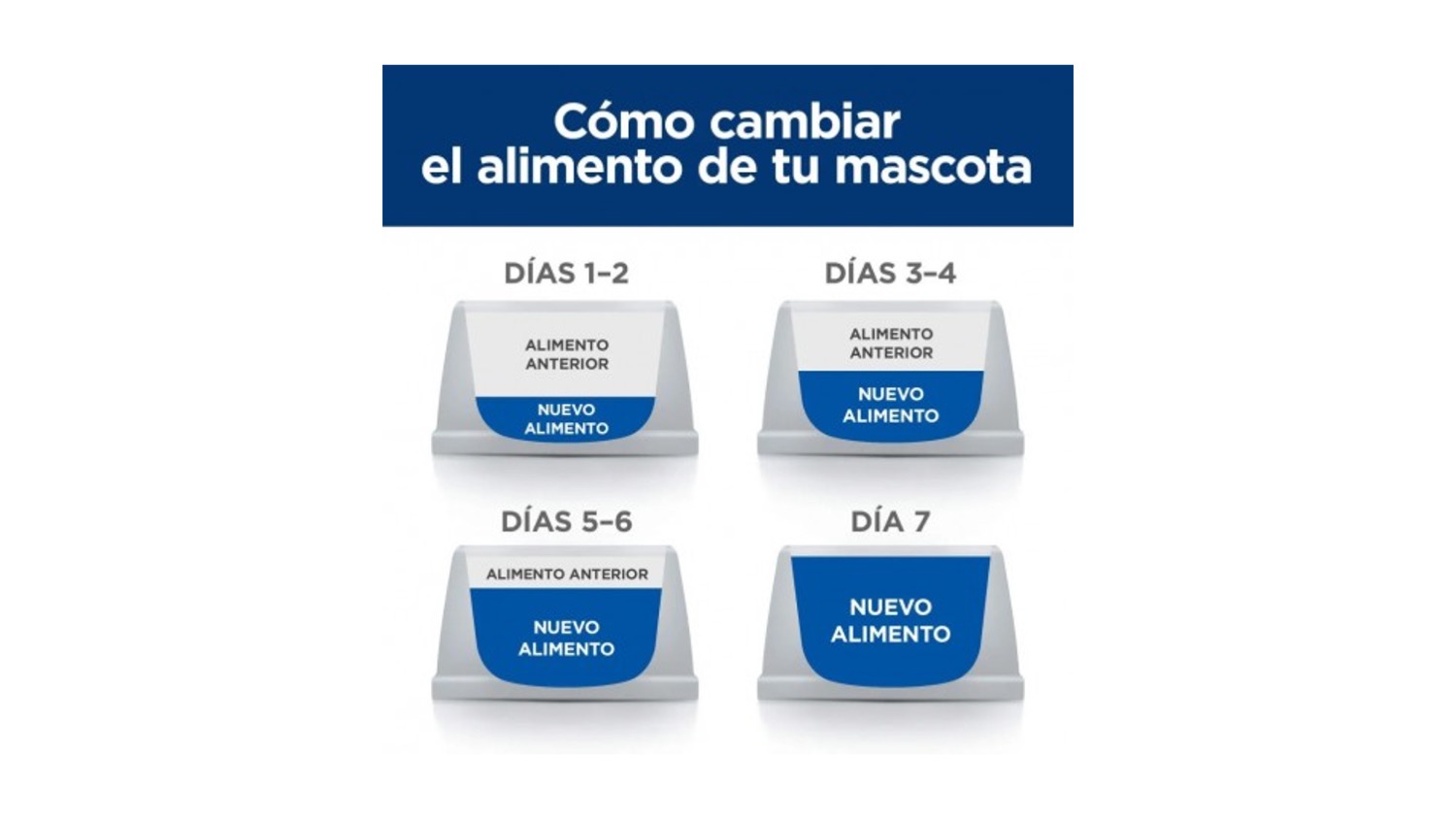 Diapositiva4