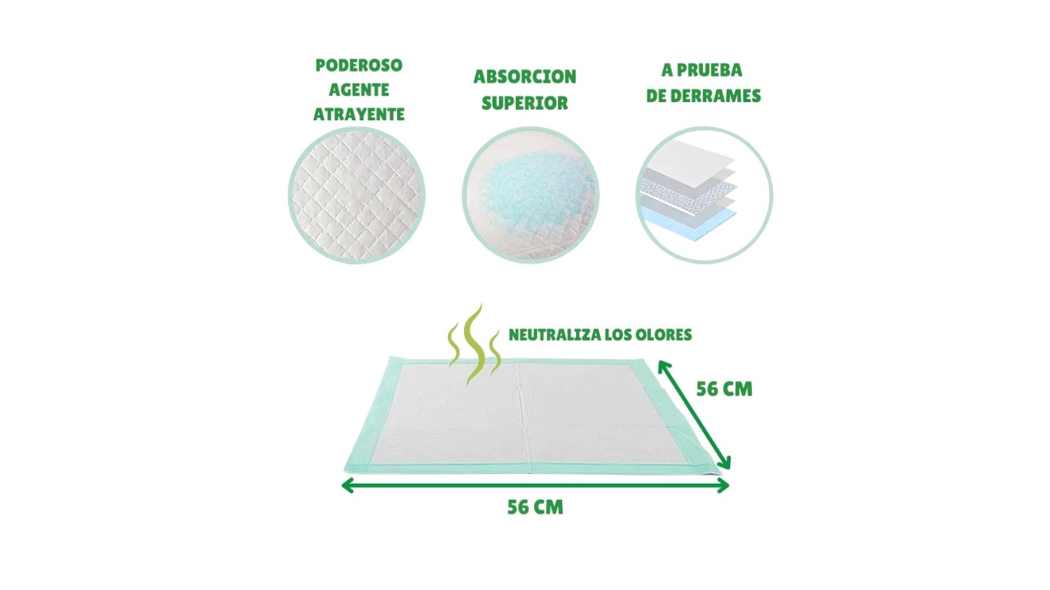 Diapositiva4