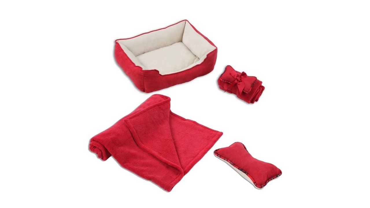 Diapositiva3