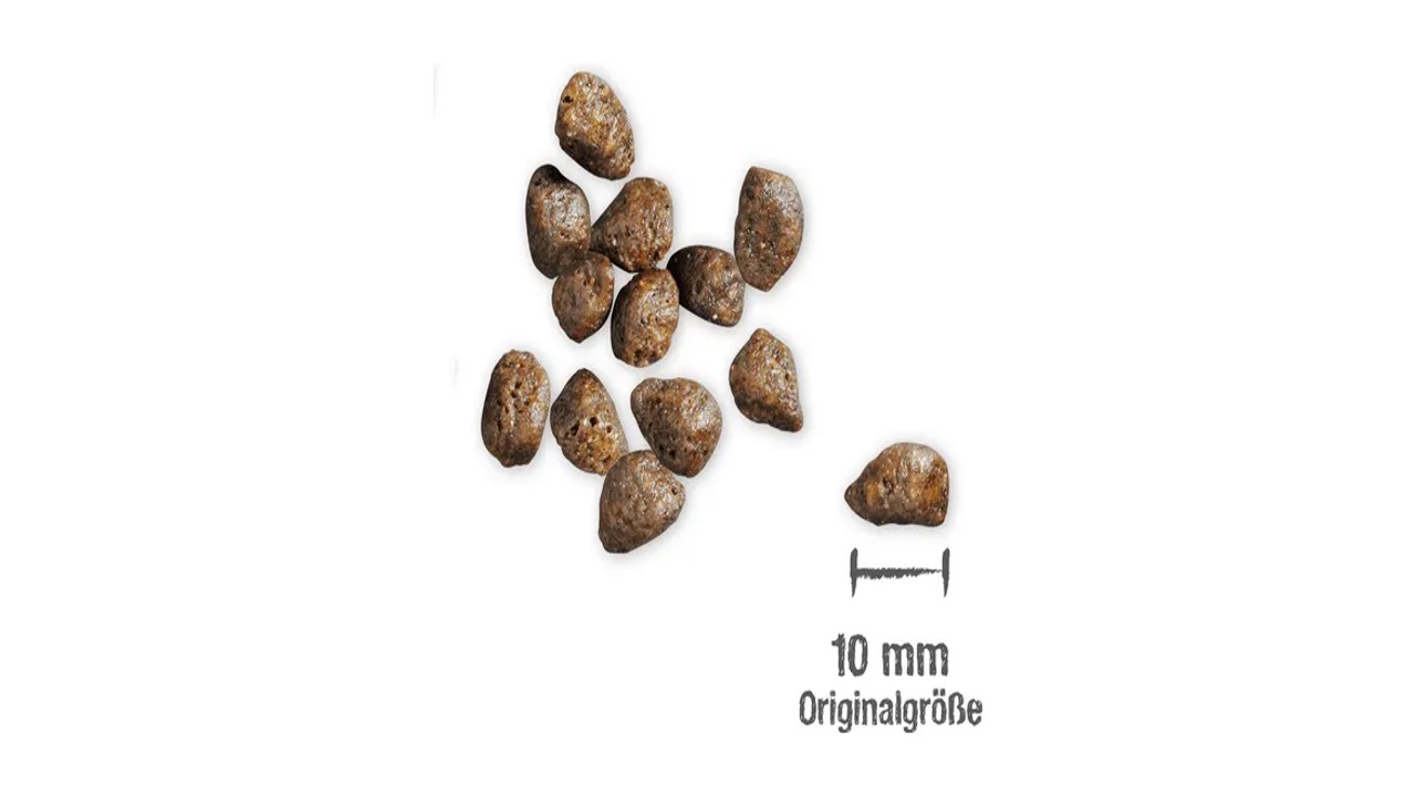Diapositiva4