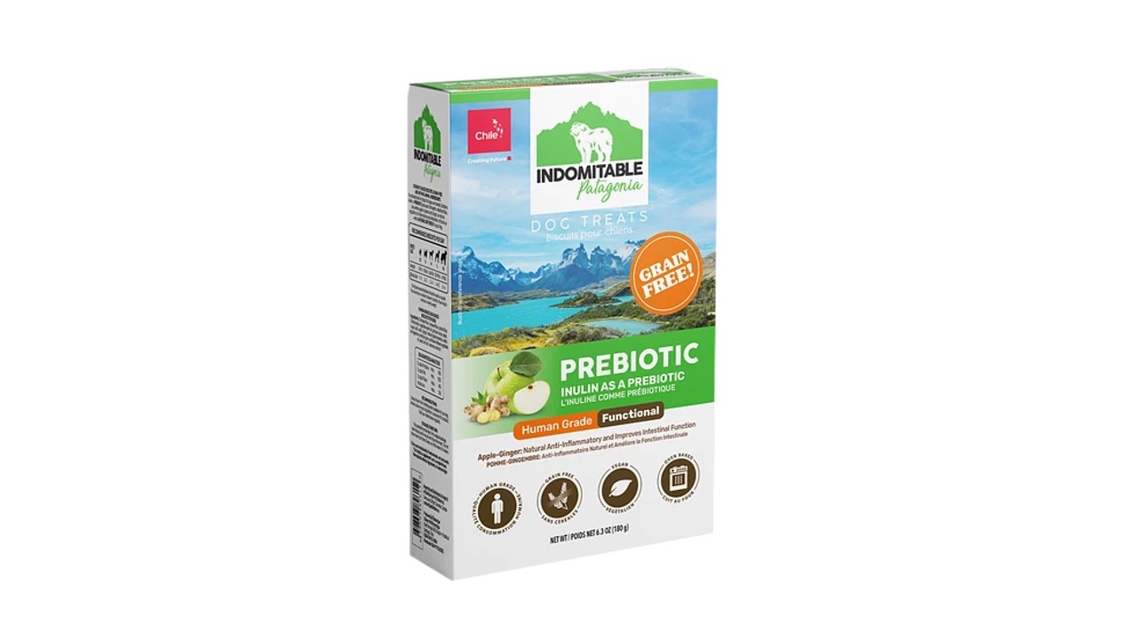 Diapositiva6