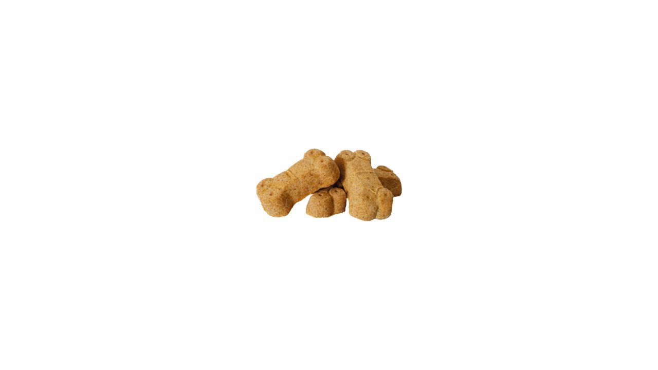 Diapositiva8