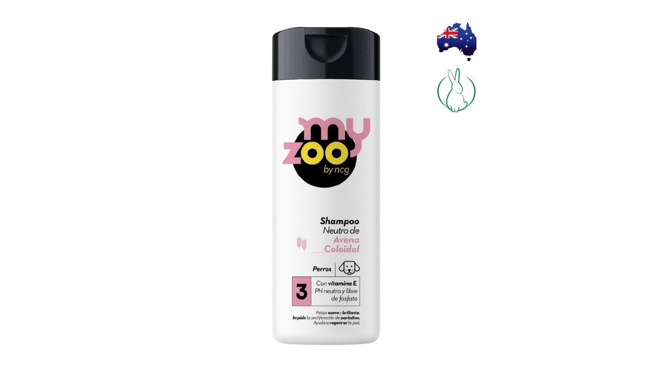 Diapositiva10