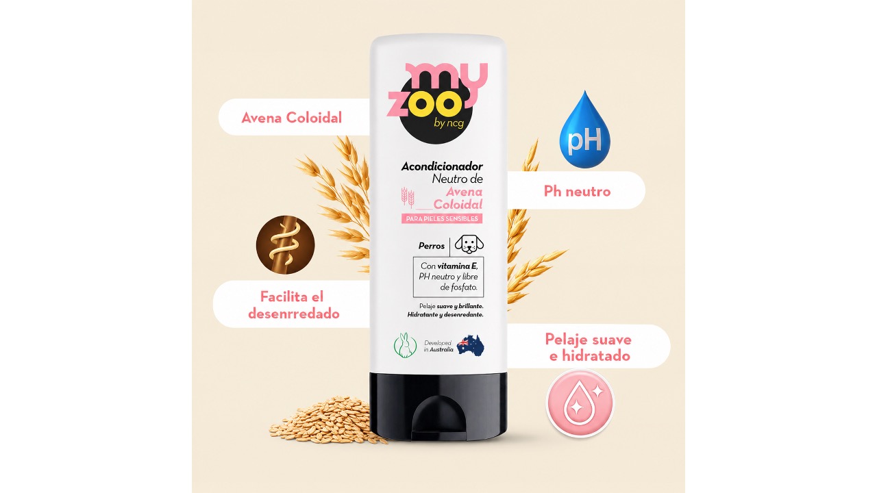 Diapositiva8